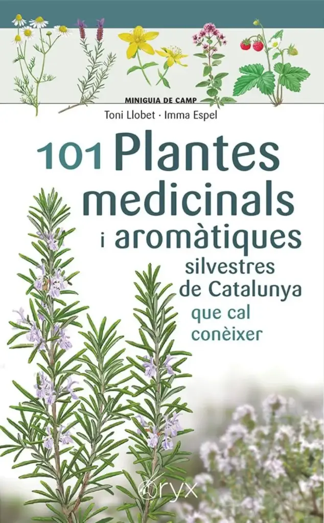 101 PLANTES MEDICINALS I AROMÀTIQUES