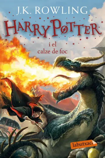 HARRY POTTER I L'ORDE DEL FÈNIX