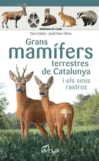GRANS MAMÍFERS TERRESTRES DE CATALUNYA