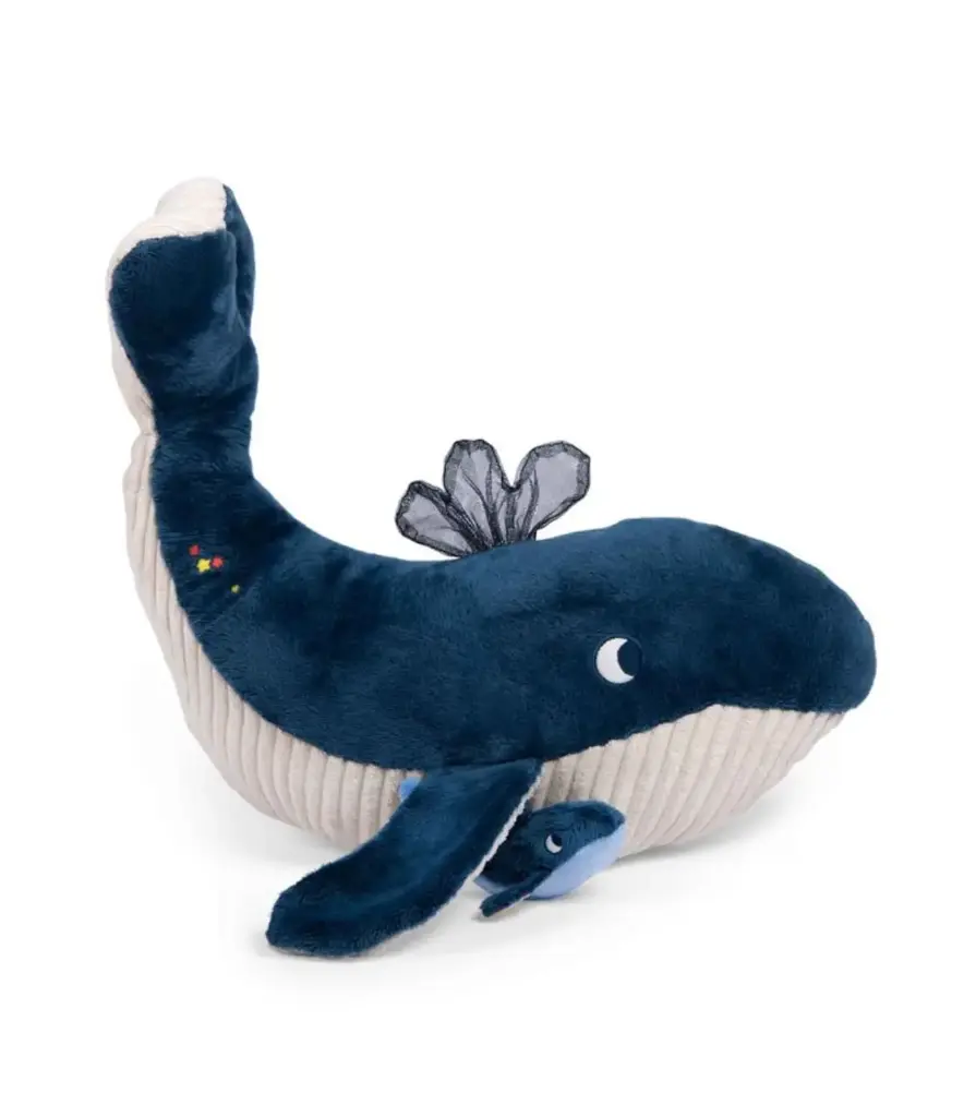 BALENA D'ACTIVITATS AVENTURES DE PAULIE MOULIN RO