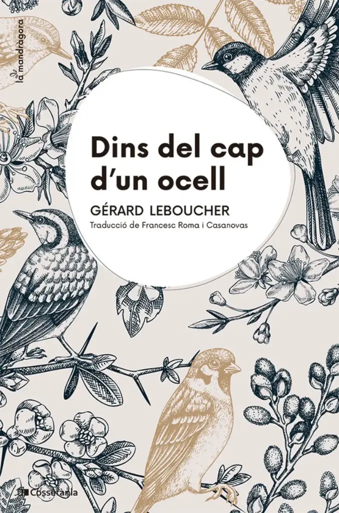 DINS DEL CAP D'UN OCELL