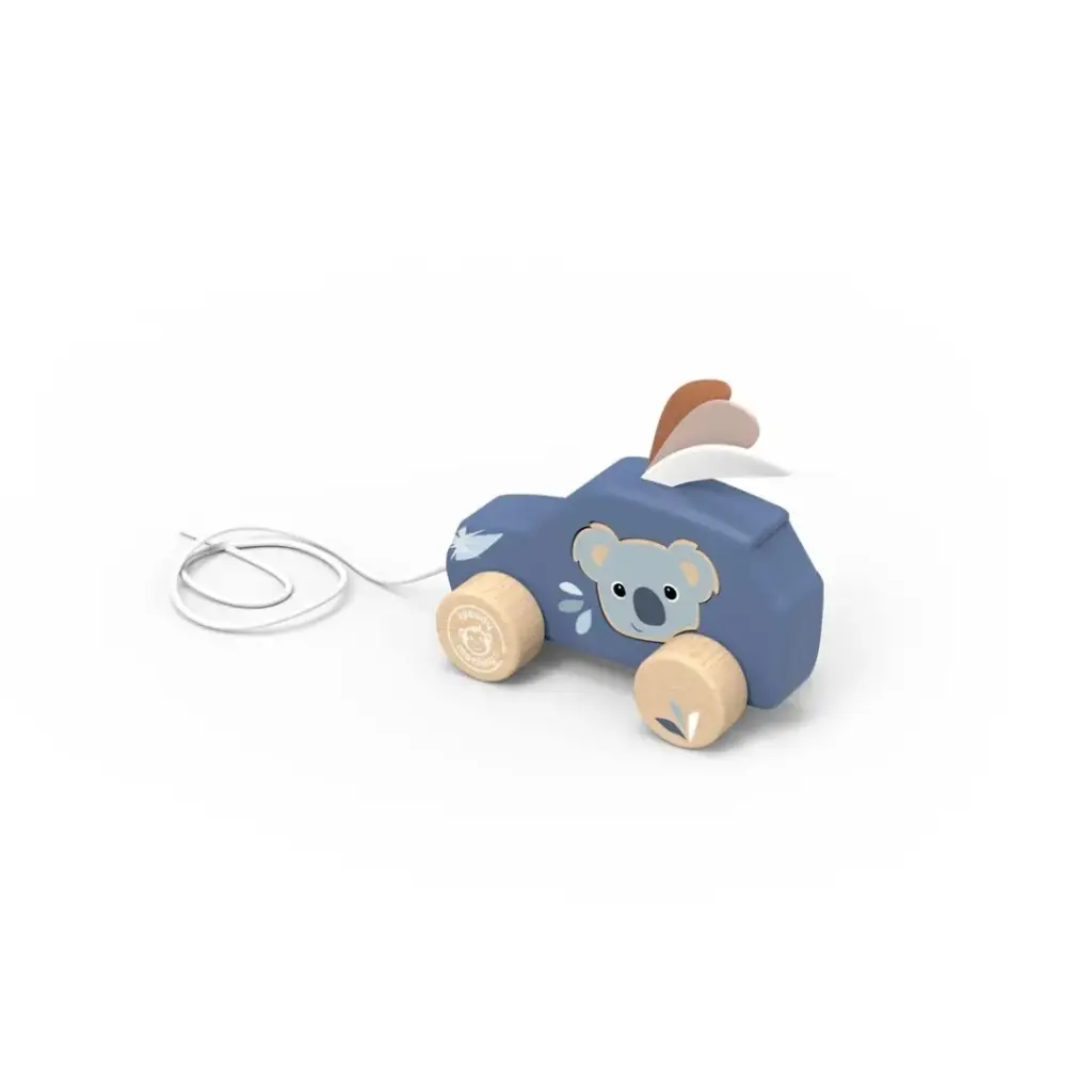 COTXE D'ARROSSEGAMENT