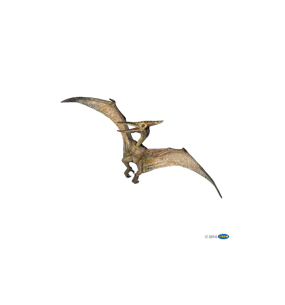PTERANODON                                        
