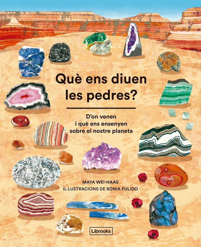 QUÈ ENS DIUEN LES PEDRES?                         