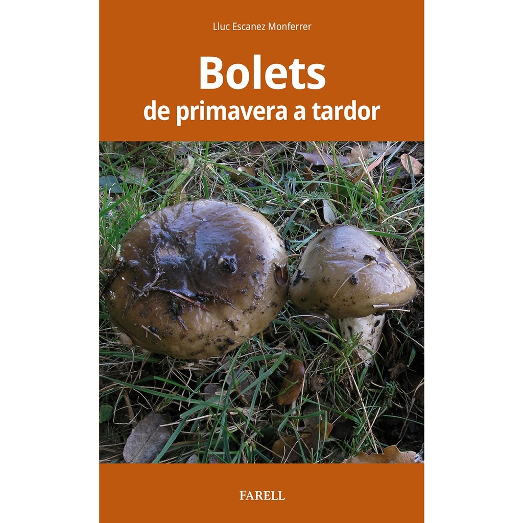 BOLETS                                            