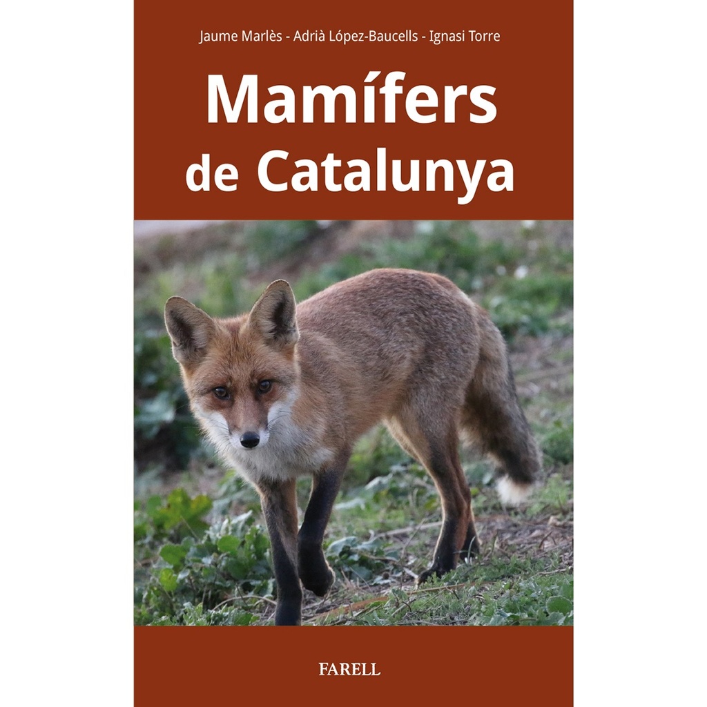 MAMÍFERS DE CATALUNYA                             