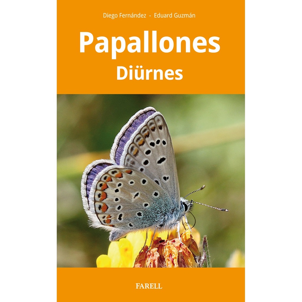 PAPALLONES DIÜRNES                                