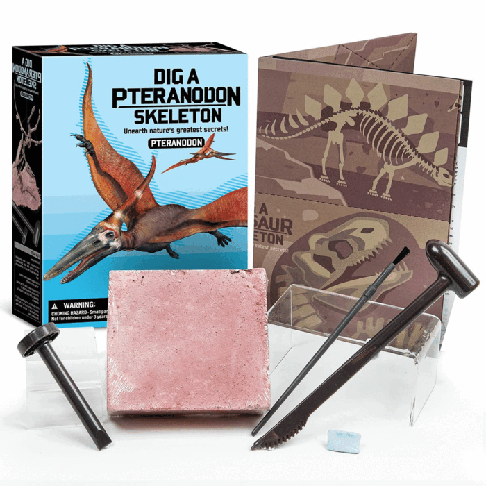 KIDZ LABS GEOLÒGIC ESQUELET DE PTERNODON