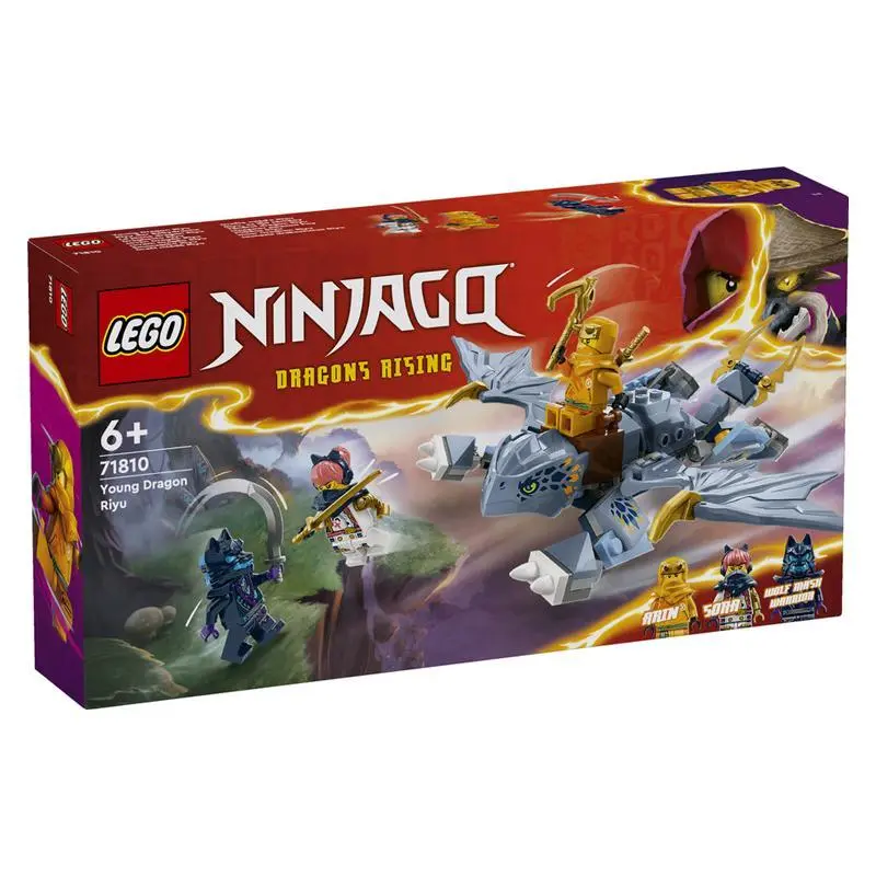 DRAGONS RISING LEGO NINJAGO