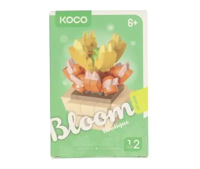 KOCO PLANTES SUCULENTES