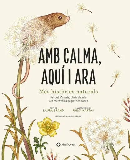 [07040112] AMB CALMA, AQUÍ I ARA