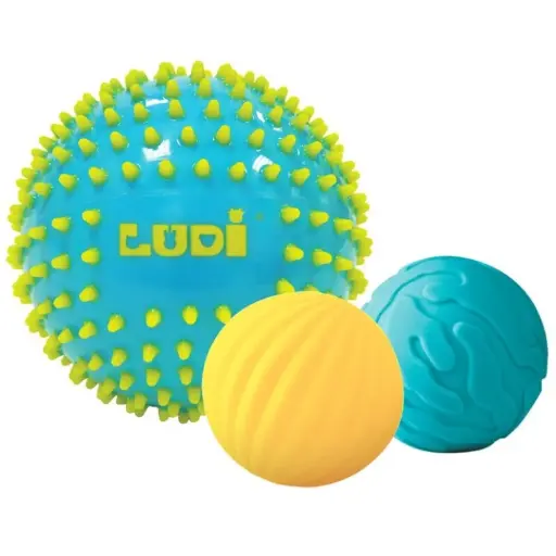 [39330021] PILOTA SENSORIAL BICOLOR LUDI