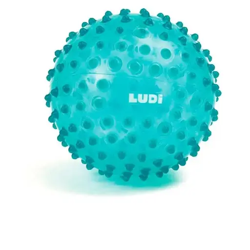 [37030114] PILOTA ESTIMULACIÓ SENSORIAL