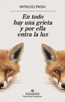 [00494915] EN TODO HAY UNA GRIETA Y POR ELLA ENTRA LA LUZ
