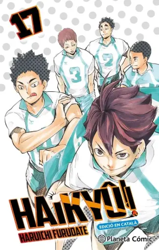[04591829] HAIKYU!! 17