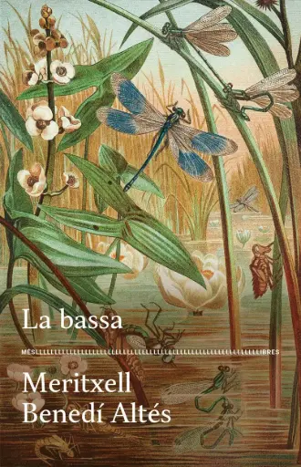 [08735372] LA BASSA