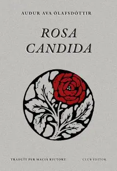 [00429507] ROSA CANDIDA