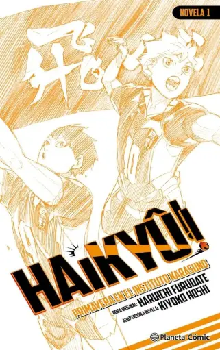 [04591929] HAIKYÛ!! NOVELA 01