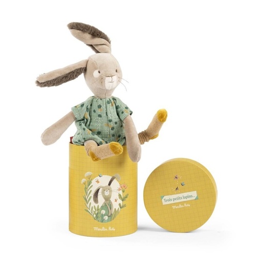 [03878027] CONILL SÀLVIA EN CAIXA PETITS LAPINS              