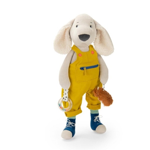 [03884023] GRAN GOS PILOU D'ACTIVITATS P&P                   