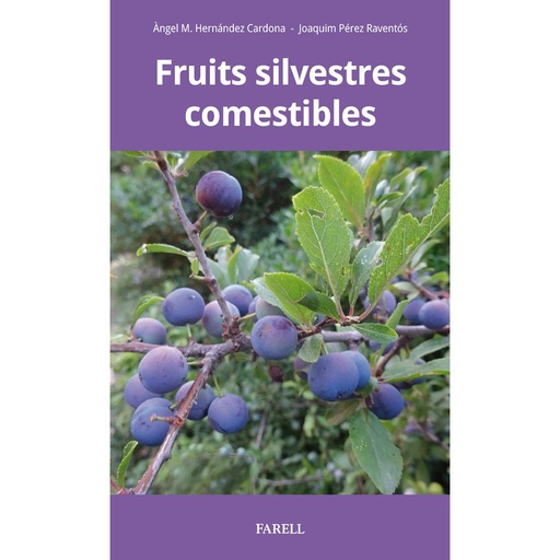 [07211641] FRUITS SILVESTRES COMESTIBLES                     