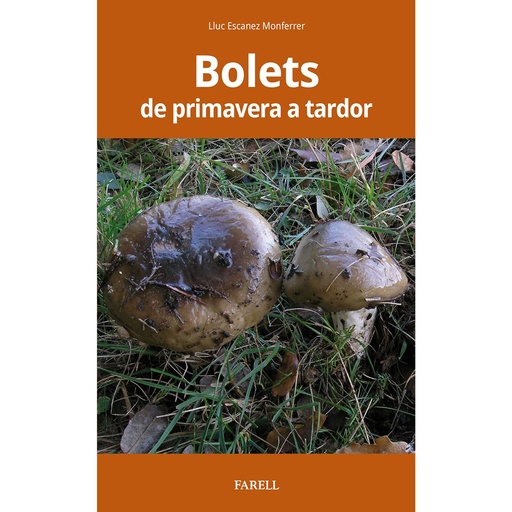 [07211653] BOLETS                                            