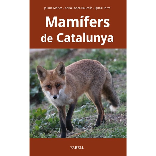 [07211692] MAMÍFERS DE CATALUNYA                             
